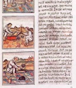 Página del Códice Florentino
